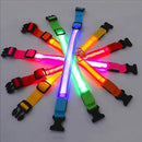 LED Lighted Dog Collar
