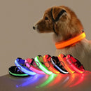 LED Lighted Dog Collar