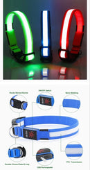 LED Lighted Dog Collar