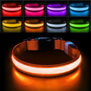LED Lighted Dog Collar