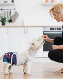 Pet Pee Pads